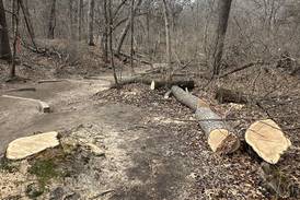 Photos: $37 million makeover begins at beloved Starved Rock State Park