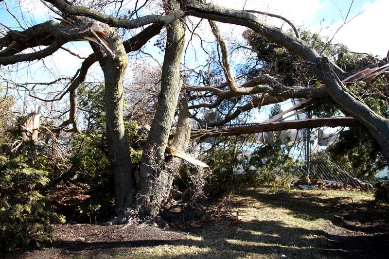 Trees, signs and fences were damaged on the Waubonsee Community College campus in Sugar Grove on Wednesday, Feb. 28, 2024 following a reported tornado the night before.