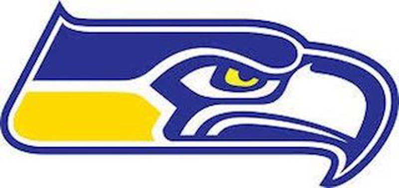 Johnsburg Skyhawks logo