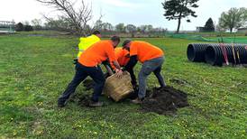 Oregon’s dog park gets some ‘shade’ for Arbor Day