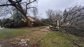 Reader photos: Ice storm hits McHenry County