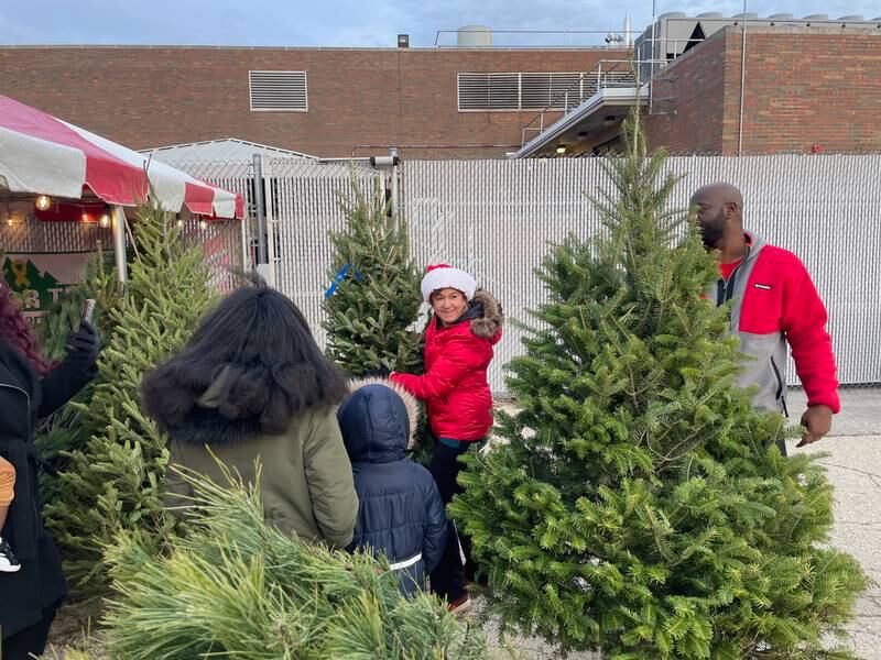 Wendy Richardson (at center) of Richardson Christmas Tree Farm, Spring Grove, assists military families in picking out the perfect tree after a Trees for Troops program drop-off at Naval Station Great Lakes.