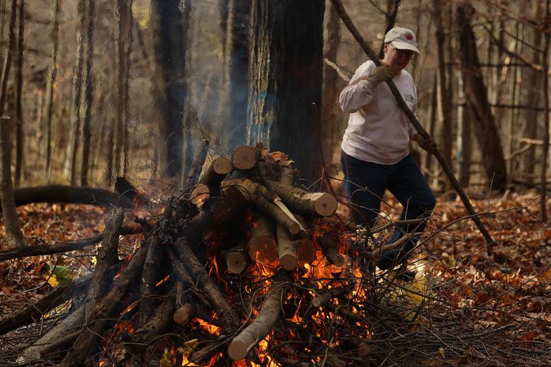 Eliane Torrence maintains the burn pile at the nature preservation event to restore light to the woodland floor in Pilcher Park on Sunday, Nov. 10, 2024 in Joliet.