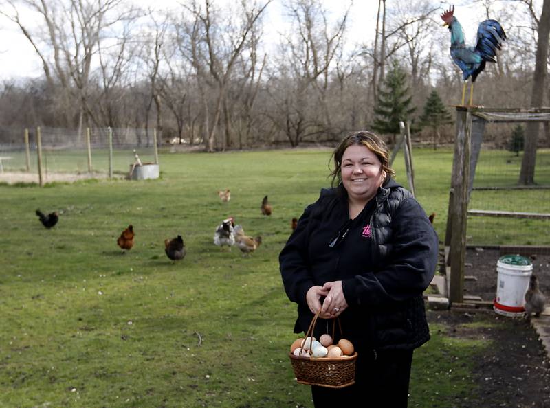 Jessica Martell collects eggs from her backyard chickens, on Wednesday, March 27, 2024, at her home on Half Mile Trail north of Crystal Lake.