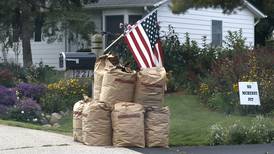 Joliet issues rules for proper fall leaf disposal