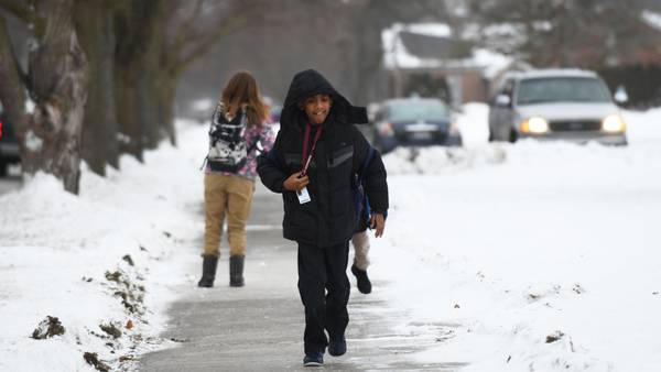 Schools take different approaches to e-learning, snow days