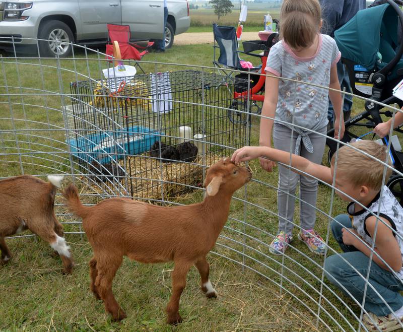 Landon, 5, and Laurel, 7, Pearce of Polo pet George an 8-week-old pygmy goat at the Summerhill Huskies 4-H Club's petting zoo at BerryView Orchard on Sunday, Sept. 17, 2023.
