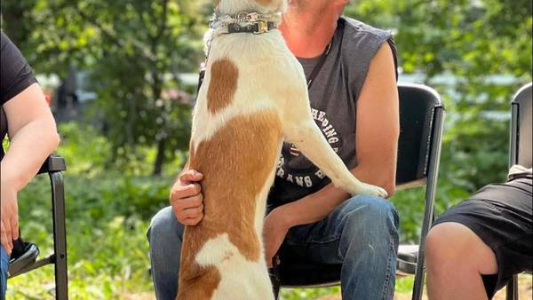 Thank You, Veterans: Dwight veteran finds healing in nature