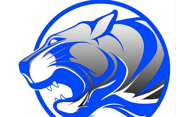 Princeton ‘fights’ in 9 inning-loss to Pontiac in 2A regional finals