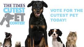 Vote in The Times Cutest Pet Photo Contest today!