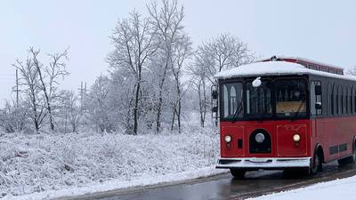 Launch your new year with Winter Wildlife Trolley Tours