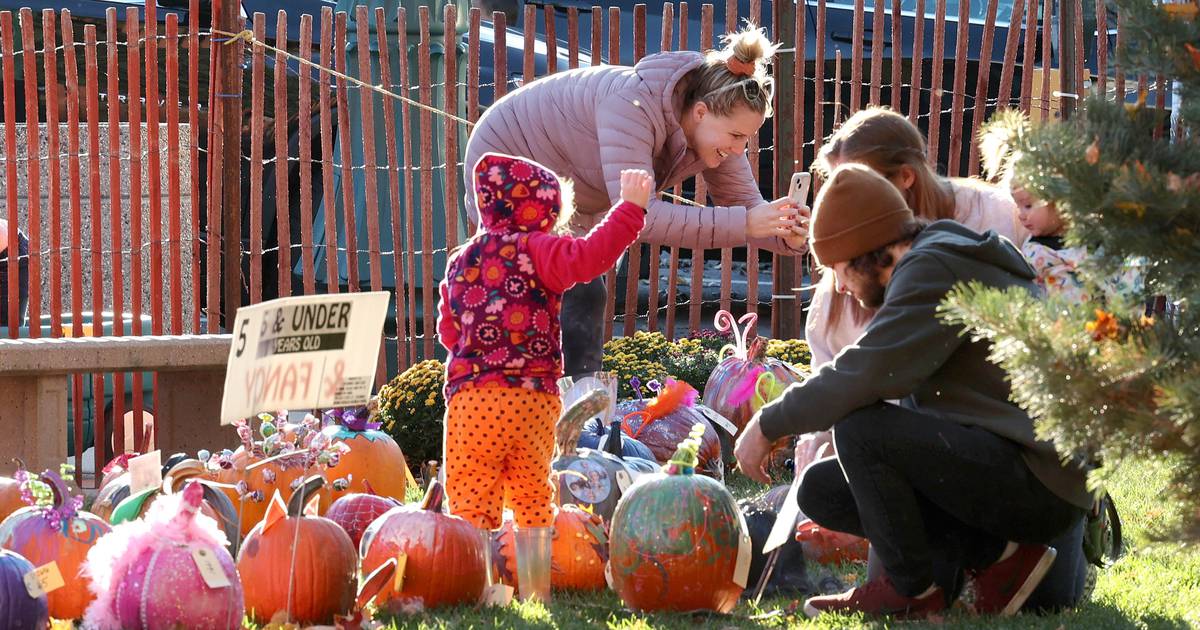 Pumpkin Festival 2025 Decorations