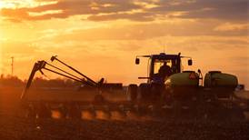 Swing to more soybeans in USDA crop predicted