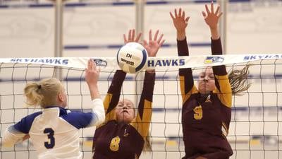 Photos: Richmond-Burton vs. Johnsburg girls volleyball