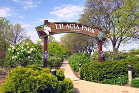 5 Things to Do: Wheaton festivals, eclectic concerts, Sherlock play on tap in DuPage County