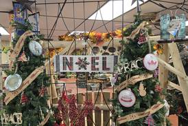 More than 20 businesses to participate in Christmas in July event