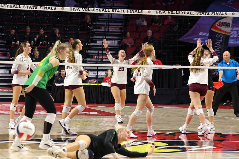 Prairie Ridge's Ava Bell, center, celebrates a point with teammates during the Wolves' loss in two sets, 25-20, 25-18, in the IHSA Class 3A State semifinals on Friday, Nov. 14, 2025.