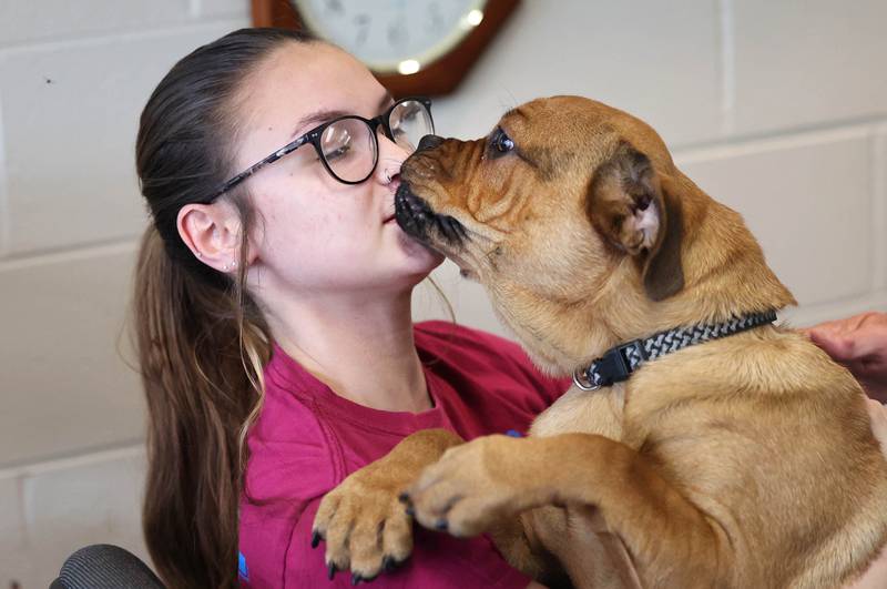 Becca Shank, an adoption specialist at Tails Humane Society hangs out with Buddy Monday, July 24, 2023, who is available for adoption at the shelter in DeKalb. Tails will be hosting  the Tails on Tap Bar Crawl Saturday Aug. 5 in downtown DeKalb with all proceeds benefitting the homeless pets at the shelter.