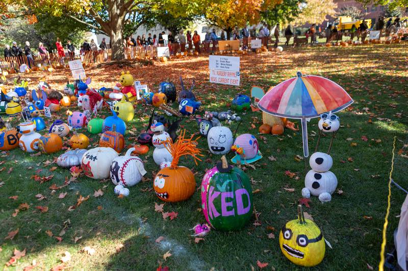 Pumpkin contest entries at the Sycamore Pumpkin Festival on Sunday Oct. 26,2025 in Sycamore.