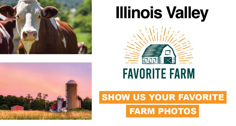 IV Fave Farm