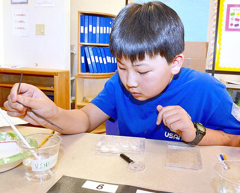 Vernon Hills school pilots Science Olympiad activities, training Shaw