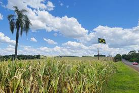 Could Brazil surpass U.S. as world’s top corn exporter?