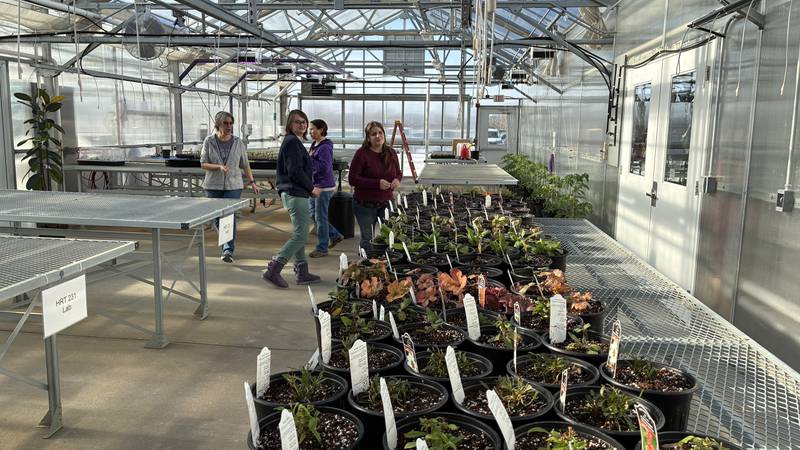 Some spring plantings have started in McHenry County College's greenhouse. The Great Seed Event, were gardeners can get their own seeds for the 2026 season, is set for 10 a.m. to 2 p.m. Feb. 7 at the MCC cafeteria. More than 1,000 people are expected at the event, where gardeners will swap seeds and learn about composting, urban gardening and pocket prairies.