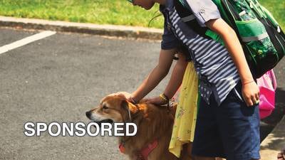 Ensure a Smooth Back-to-School Transition for Your Furry Friend