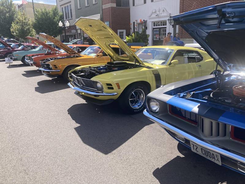The 2025 Bureau County Homestead Festival was held on South Main St. in Princeton on Saturday, bringing in an assortment of all makes, models and years.