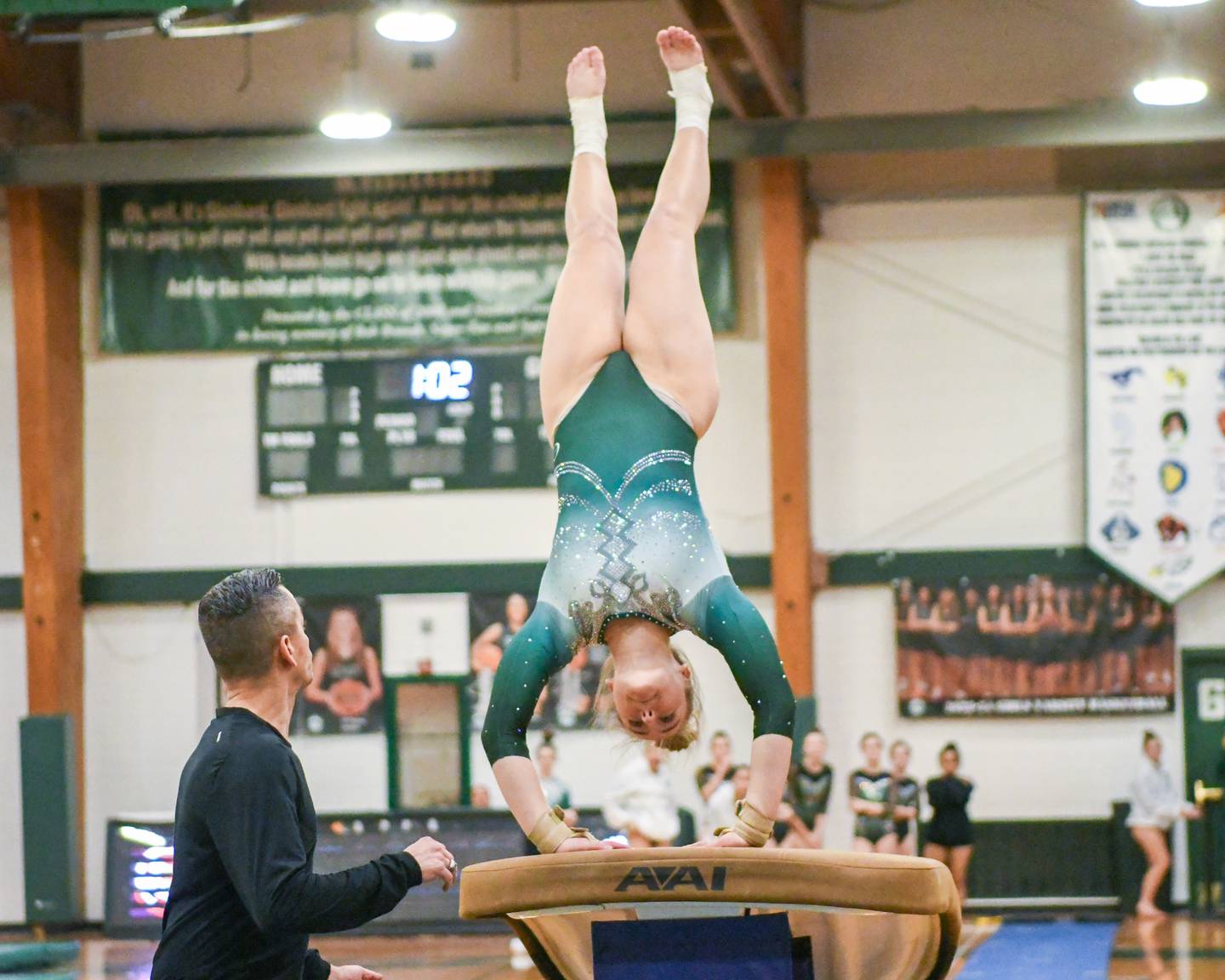 Leah Chapski of Glenbard West competes in the volt on Saturday Jan. 27, 2024, held at Glenbard West during the  conference.