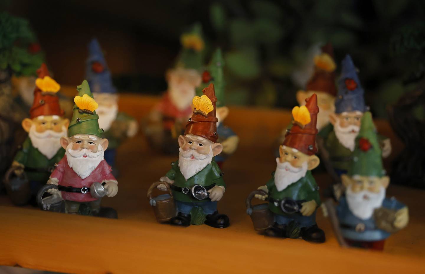 The Gnome Colony in Glen Ellyn is full of love, whimsy and wishes.