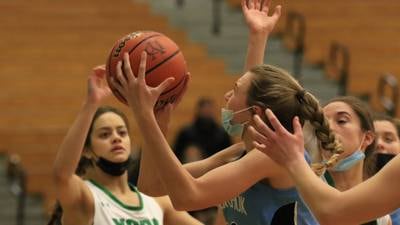Photos: Willowbrook vs. York girls basketball