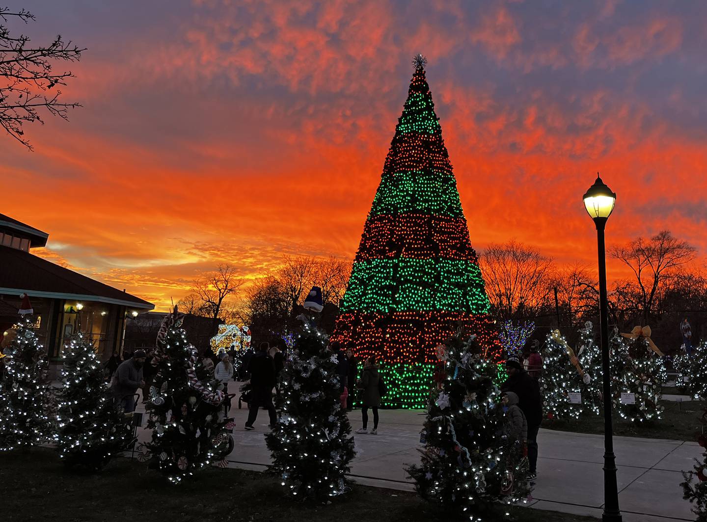 Holiday Magic at Brookfield Zoo runs through December 31, 2024.