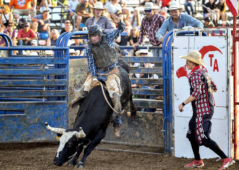 Trey Moore handles his bull Thursday, August 7, 2025, at Carroll County Fair’s T and A Bucking Bulls Rodeo.