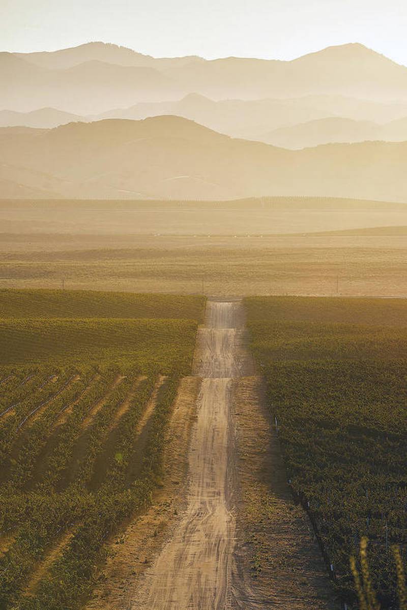 Diora wines are shaped by the Santa Lucia Highlands in California.