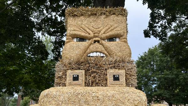 Photos: Winner announced at 10th annual Strawfest in Mt. Morris