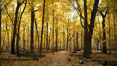 Will County forest district’s Be a Trailblazer experience offers outdoor adventures, chance to win prizes