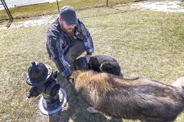 Sterling’s Dogwood Acres gets new additions for man’s best friend