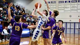 Photos: Mendota at Princeton boys basketball