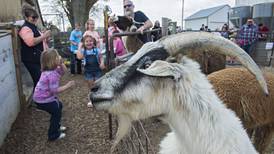 Photos: Farm open house in Chadwick