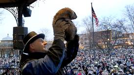 Things to do this weekend: Groundhog Day in Woodstock, swap seeds at McHenry County College 