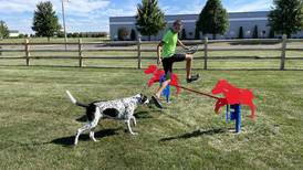 Oswego trustees discuss possible new locations for Happy Tails Dog Park