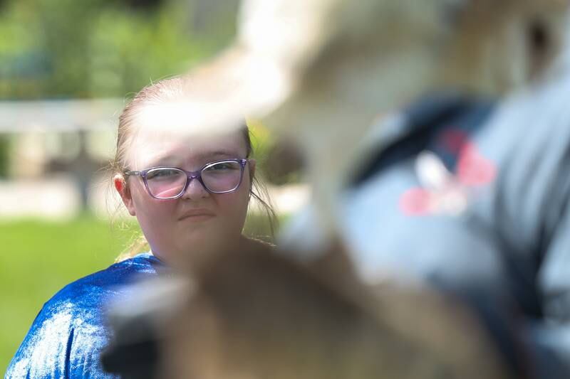 Madison McKeown, 10-years-old, watches a Barn Owl presentation at the Royal Faire hosted by the Joliet Public Library Black Road Branch on Saturday, July 22nd, 2023.