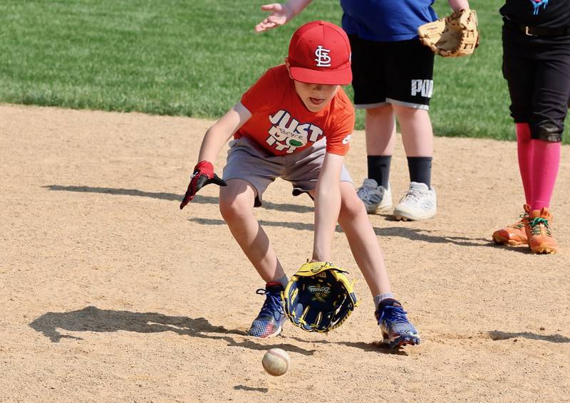 Tiger Baseball Camp