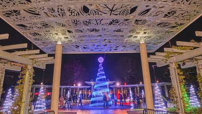 Morton Arboretum’s ‘Illumination’ to return for 2025 holiday season