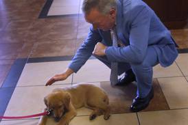 Photos: Honey and Louie, courthouse therapy dogs, are sworn in