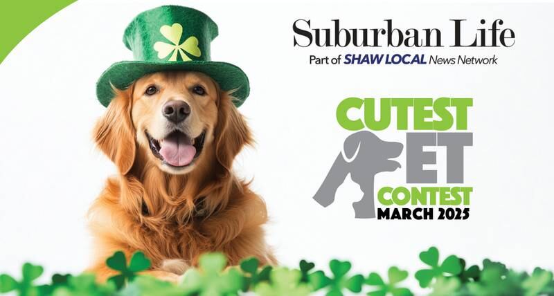 SLM March Pets