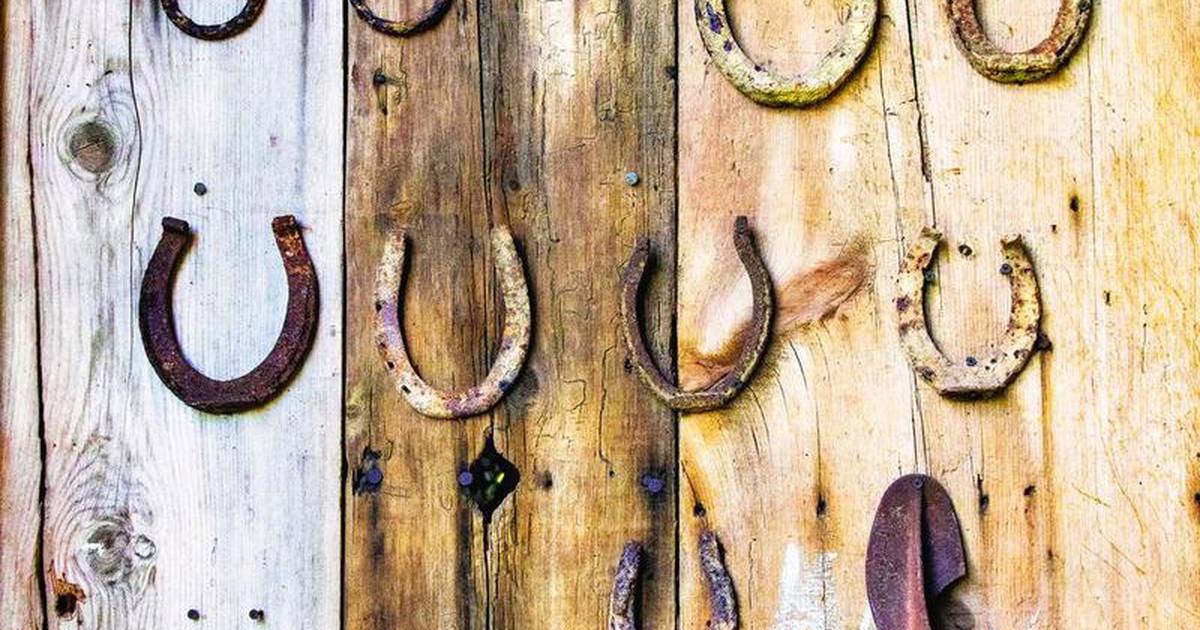 Equine Dreams awarded grant for accessible tack room construction