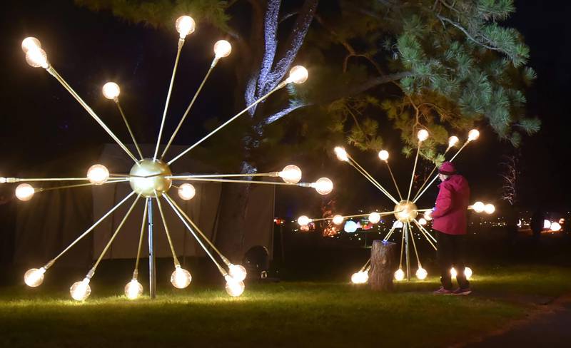 “Starlit Trail” is a new area of the Morton Arboretum’s “Illumination” holiday display, opened for its 11th season.