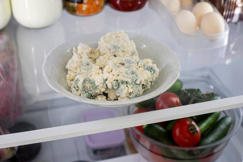Merry Maids of Sycamore - 3 Ways to Keep Mold from Taking Over Your Fridge